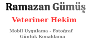 Veteriner Hekim Ramazan Gümüş