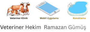 Veteriner Hekim Ramazan Gümüş